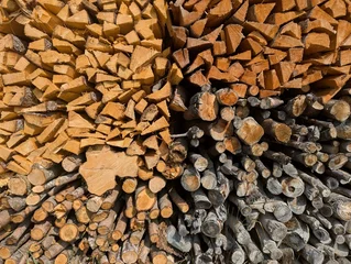 Fototapete Rund pile of firewood of different type and age © Piktogrimm