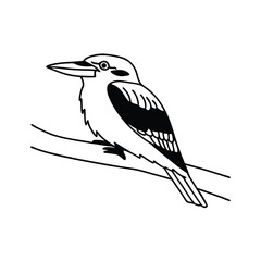 Isolated kookaburra line art perched on branch shows nature's charm and beauty