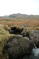 stream in the mountains