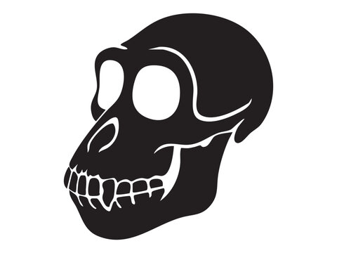 Black silhouette of a monkey skull with large eye sockets and visible teeth, isolated on white background, graphic illustration. Concept of primate anatomy, wild animal skeleton