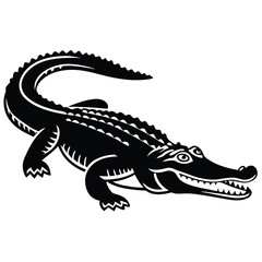 Solid black alligator prowls, showcasing sharp teeth and textured skin, creating a powerful silhouette