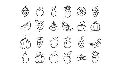 Twenty four high resolution fruit illustrations