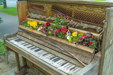 Old piano transformed into a vibrant flower garden on a city street. Urban art installation...