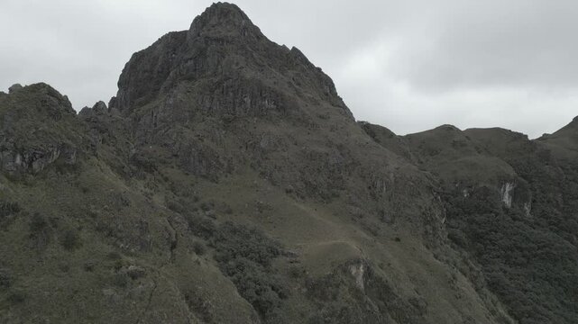 Cajas 
