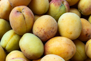 Fresh Apricots on a Market Stall. A Vibrant Display of Apricots Celebrating Bounty of Nature. The Essence of Summer. Juicy Apricots Evoking Joy and Abundance.