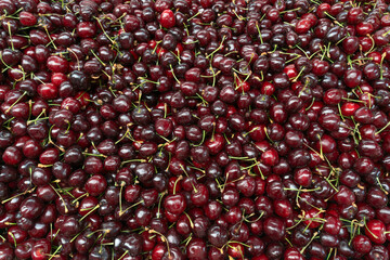 Fresh cherries piled high showcasing the bounty of summer harvest. Glossy red cherries arranged in abundance at a local market. Juicy cherries symbolizing the sweetness and richness of life.