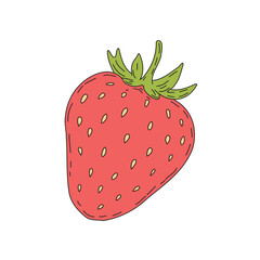 Hand-Drawn Strawberry Illustration minimalistic Vector