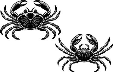 Fototapeta premium Crab icon. Crab Silhouette vector. A crab raising its claws, isolated on a white background