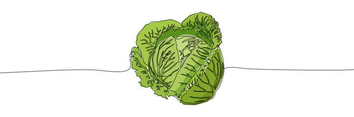 Green cabbage head drawn with one continuous black line on white background. Minimalist vector illustration with green color fill. Food and vegetable concept for design and print