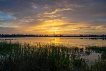 Amazing Florida nature. Sunset over lake water in southern tropical wetlands