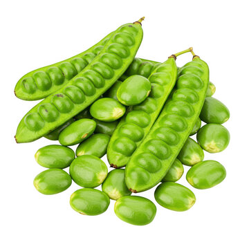 Fresh green parkia speciosa pods and seeds isolated on transparent background