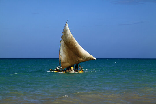 Brazil Alagoas State Maceio deserted exotic tropical palm lined beach with turquoise ocean