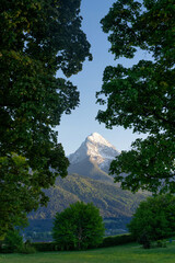 The Watzmann peak seen through trees