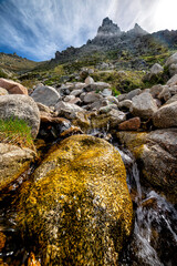Arroyo de Las Morrillas