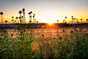 Amanece tras los campos