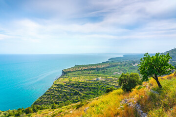 Gargano coast panoramic view and trees. Monte Sant'Angelo, Puglia, Italy.