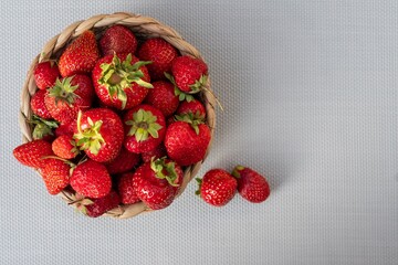 Fresh organic strawberries with natural blemishes in a wicker basket