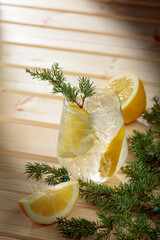 Gin and tonic cocktail with crushed ice and lemon slices.