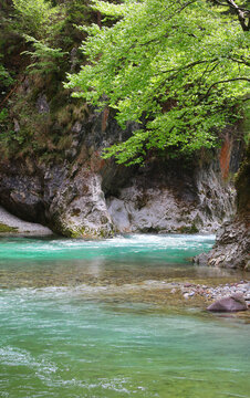 natural landscape of unspoiled nature with the stream with the clear green water flowing through the rocks without people