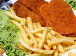 dish with crispy yellow fries and the breaded cutlets and leaves of green salad a typical tasty and...