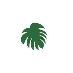 Green tropical leaves monstera vector illustration 