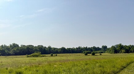 Field with trees on hike in ohio