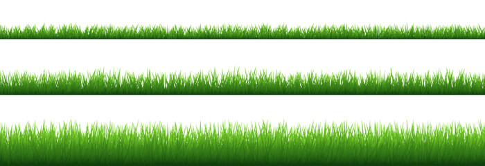 Set of Seamless Green Grass Borders