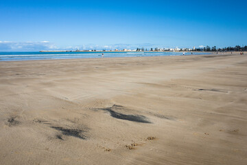 Wide sandy beach in Essaouira, Morocco, with scattered dark driftwood contrasting against light sand. Calm waters meet the distant city skyline under a clear blue morning sky