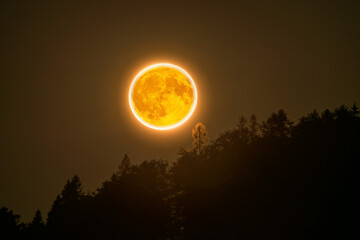 Erdbeer-Vollmond über Waldsilhouette