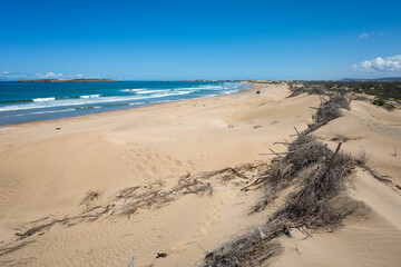 Branch barrier protecting against coastal erosion on Essaouira beach, with scattered debris trapped in the fencing. The distant city skyline emerges on the horizon