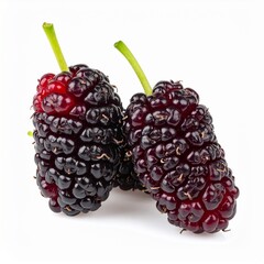 Black Mulberries on Isolated White Background – Dark Purple Elongated Berries with Juicy Texture and Natural Light