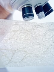 A close-up view of a microscope focusing on the intricate, vein-like patterns of a leaf's surface, highlighting detailed botanical structure