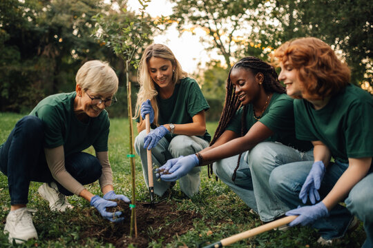 Volunteers planting trees in park on sunny day - Powered by Adobe