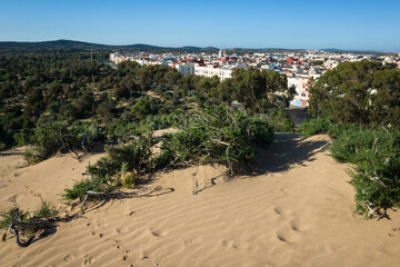 View of Essaouira, Morocco, from a sandy dune with shrubs and forest in the foreground. Cityscape under clear blue sky in the morning light
