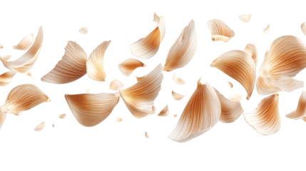 Flying 3D garlic cloves with natural skin texture isolated on white background 