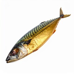 Bonito on Isolated White Background – Smoked Fish with Tuna-Like Flesh and Traditional Use