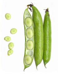 Broad Beans on Isolated White Background – Large Flat Pods with Pale Green Seeds and Rustic Presentation