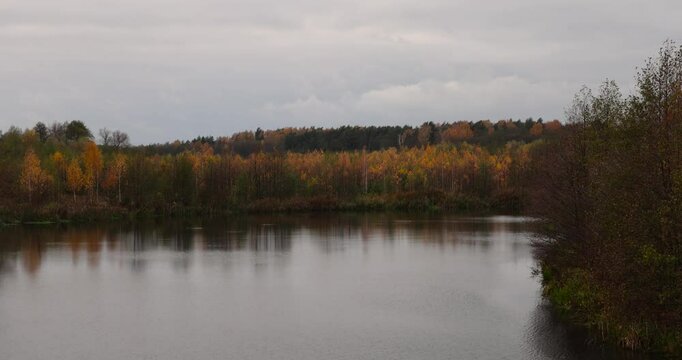 autumn landscape in cloudy weather with a lake and deciduous trees, birches and other trees with yellow and orange foliage on the shore of a lake or river