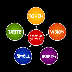 The 5 types of external stimuli - divided into our senses: touch, vision, smell and taste, mind map concept