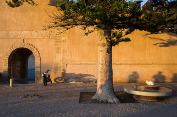 Evening sun lights the old town wall in Essaouira, Morocco. A white cat rests on a round stone table. Shadows of people and a motorbike stretch across the golden wall