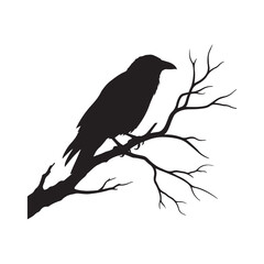 bird on a branch