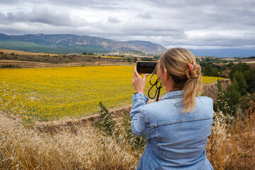 Young blonde woman wearing a blue denim jacket taking photos with her mobile phone camera of a sunflower field