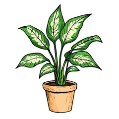 Dieffenbachia Doodle illustration vector 2D flat, isolated on a white background.