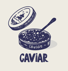 Black sturgeon caviar, beluga, realistic hand drawn sketch, vector monochrome illustration