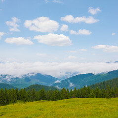 mountain valley covered by green forest in dense mist and clouds