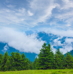 mountain valley covered by green forest in dense mist and clouds