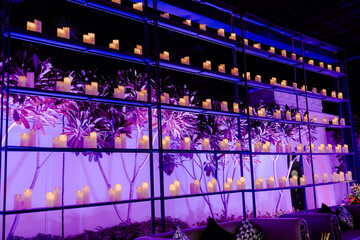 Candlelight Elegance: A display of lighted candles arranged on shelves with purple lighting creates...