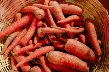 Harvested roots: A basket overflowing with freshly picked carrots. The vibrant orange hues and earthy textures showcase nature's bounty and the simple goodness of vegetables.