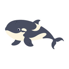 Fototapeta premium Cute killer whale in dark blue and cream colors. Adorable sea animal character, perfect for children's designs, posters and educational materials.