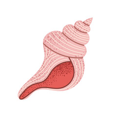 Pink conch seashell illustration. Spiral marine shell with smooth curves and speckled texture. Perfect for ocean-themed designs, beach prints, or summer decoration.